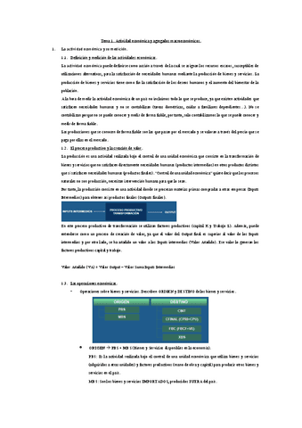 Tema-1-Resumen.pdf