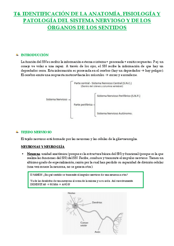 Resumen-T4-I.R.pdf