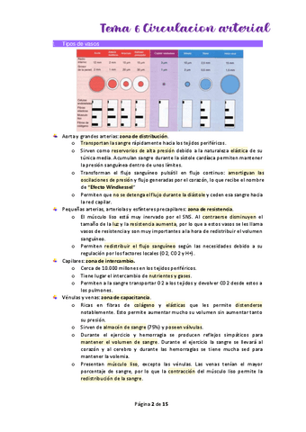Tema-6-Circulacion-arterial.pdf