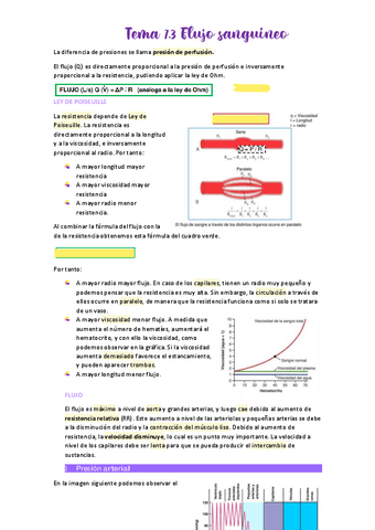 Tema-7.pdf