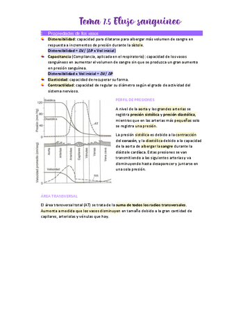 Tema-7.pdf