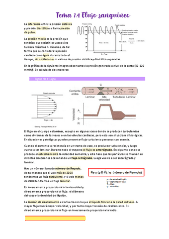 Tema-7.pdf