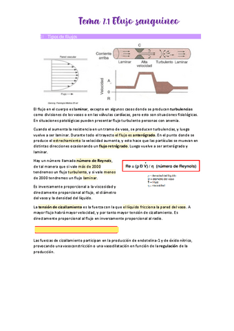 Tema-7.pdf