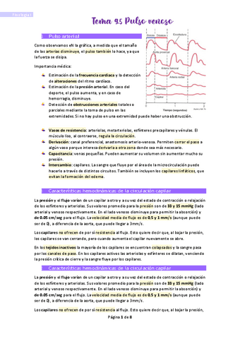 Tema-9.pdf