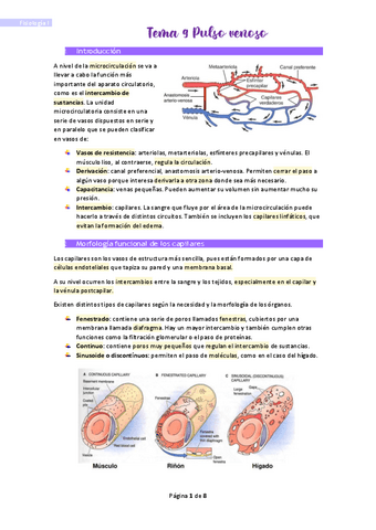 Tema-9-Pulso-venoso.pdf