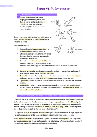 Tema-9.pdf