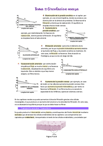 Tema-11-Circulacion-venosa.pdf