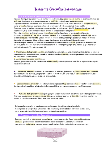 Tema-11.pdf