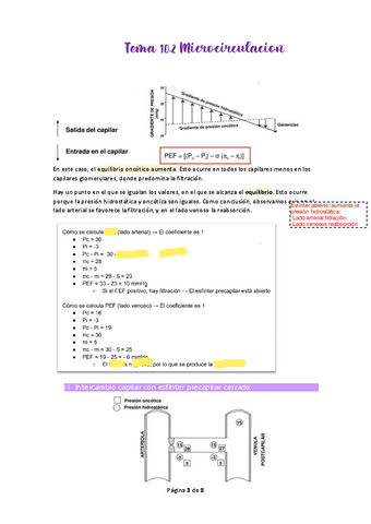 Tema-10.pdf