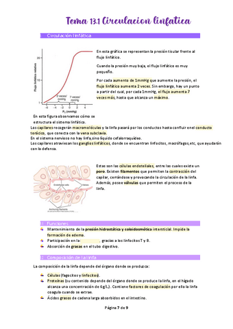 Tema-13.pdf