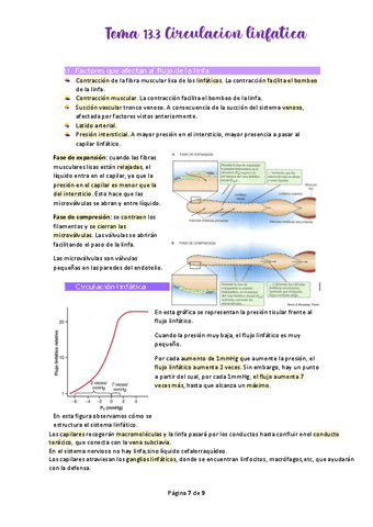 Tema-13.pdf
