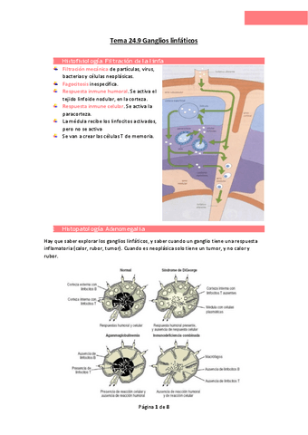 Tema-24.pdf