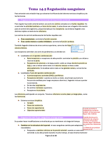 Tema-14.pdf
