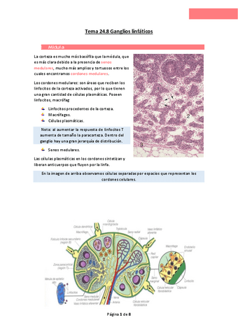Tema-24.pdf