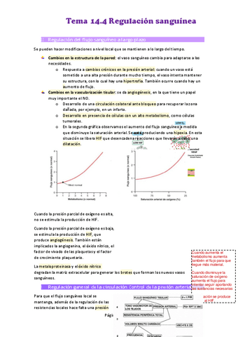 Tema-14.pdf