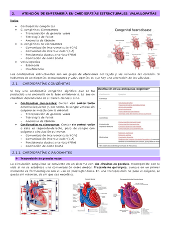 1.2.-Atencion-de-enfermeria-en-cardiopatias-estructurales.-Valvulopatias.pdf