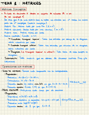Tema-1-Matrices.pdf