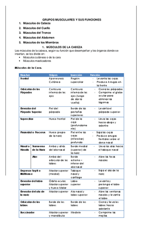 TEMA-13-GRUPOS-MUSCULARES-Y-SUS-FUNCIONES.pdf