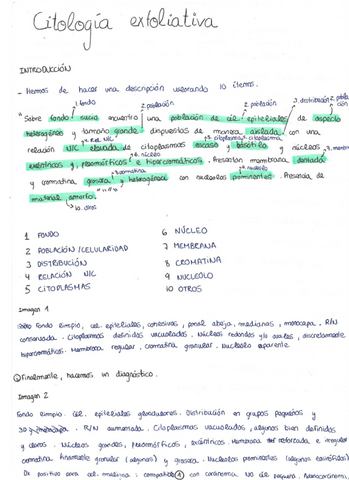 EXFO-respiratori.pdf
