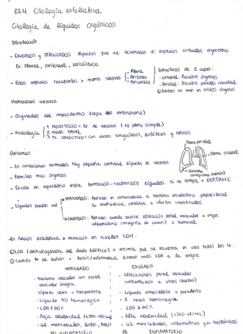 EXFO-exudats-i-liquids.pdf