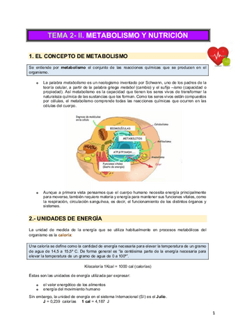 T2-II-Metabolismotema-1.pdf