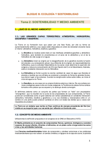 T2-Sostenibilidad-y-M.Ambiente.pdf