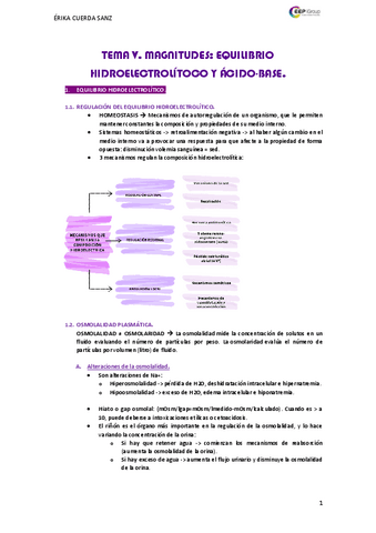RESUMEN-TEMAS-5-Y-6.pdf