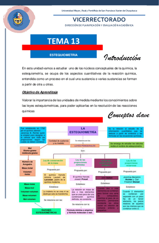 QUIMICA-CPU-TEMA-13.pdf