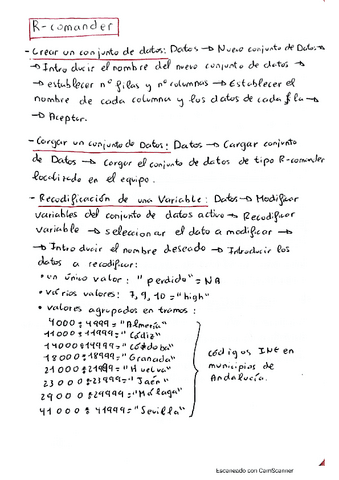 Manual R-COMANDER.pdf