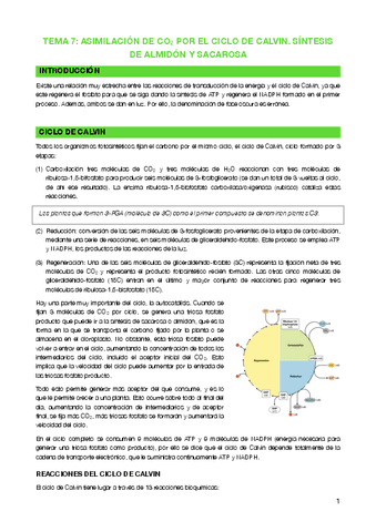 Tema-7-Asimilacion-de-CO2-por-el-Ciclo-de-Calvin.pdf