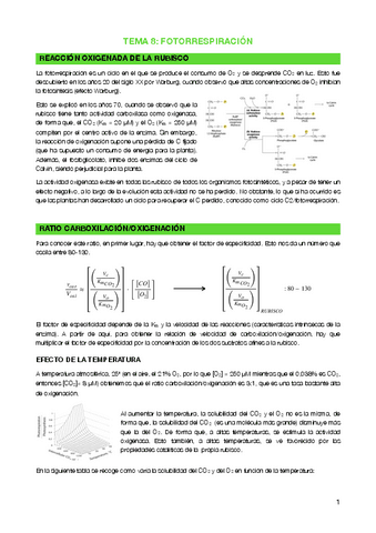 Tema-8-Fotorrespiracion.pdf