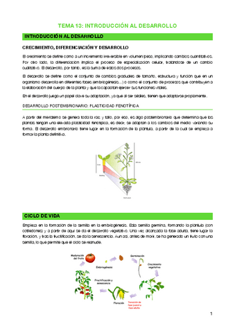 Tema-13-Introduccion-al-desarrollo.pdf