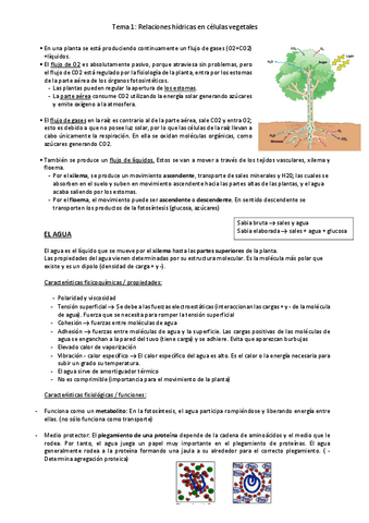 tema-1.pdf