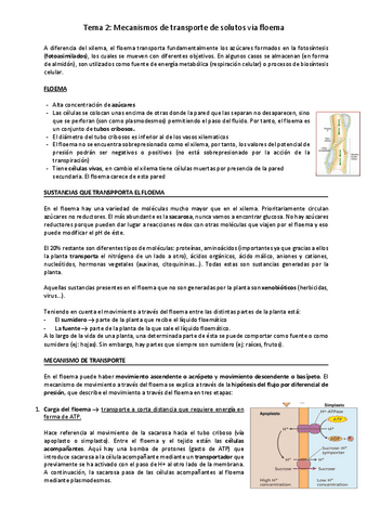 tema-2.pdf