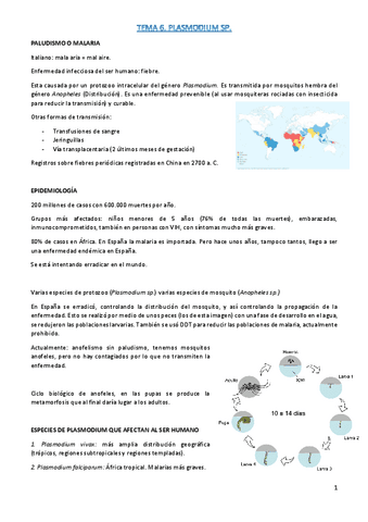 t6-parasito.pdf