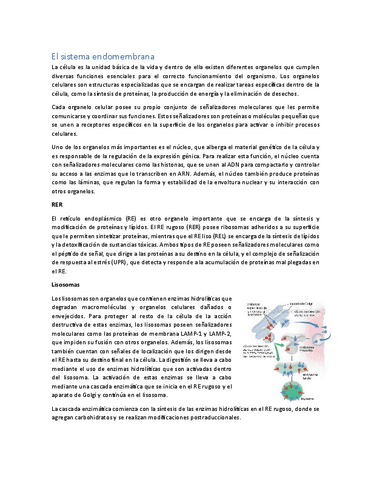 ResumenOrganelos.pdf