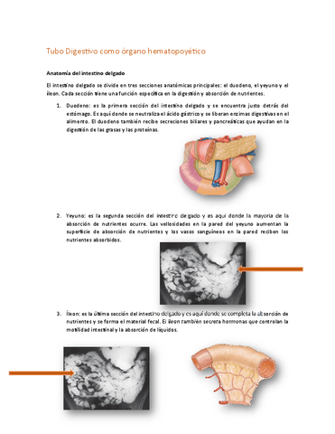 resumenorganos.pdf