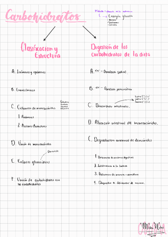 2do-parcial-carbohidratos.pdf