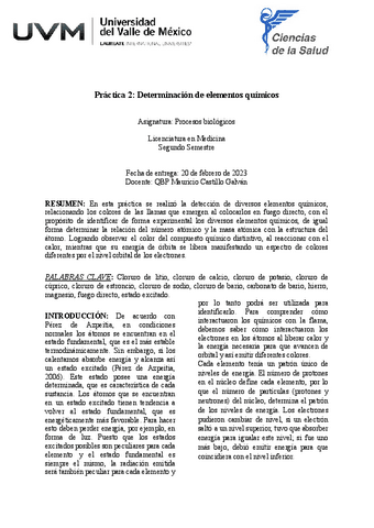 Practica-2.-Determinacion-de-elementos-quimicos.pdf