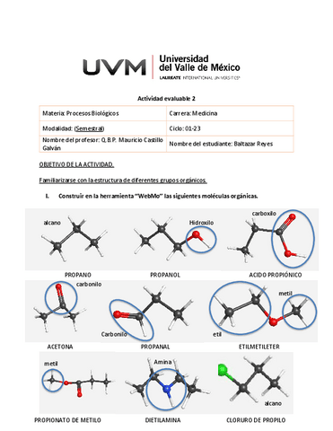 Actividadevaluable2-MoleculasOrganicasMed.pdf