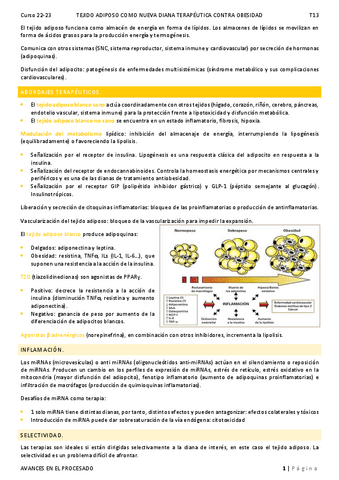 T13.-Tejido-adiposo-como-nueva-diana-terapeutica-contra-obesidad.pdf