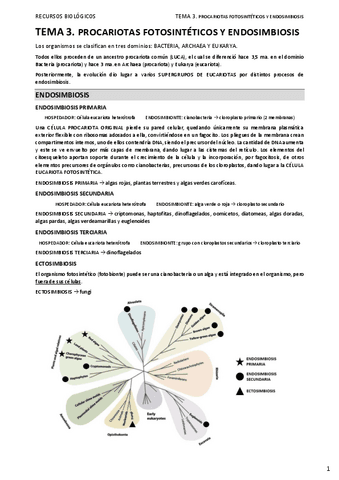 03.-PROCARIOTAS-FOTOSINTETICOS-Y-ENDOSIMBIOSIS-copia.pdf