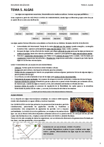 05.-ALGAS.pdf