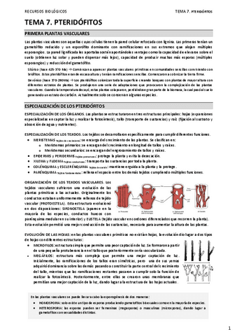 07.-PTERIDOFITOS.pdf