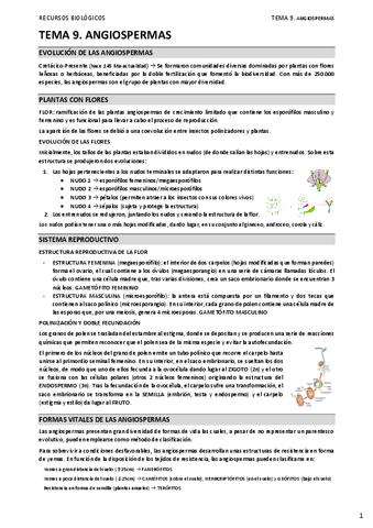 09.-ANGIOSPERMAS.pdf