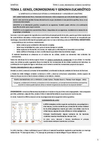 01.-GENES-CROMOSOMAS-Y-GENOMA-EUCARIOTICO.pdf