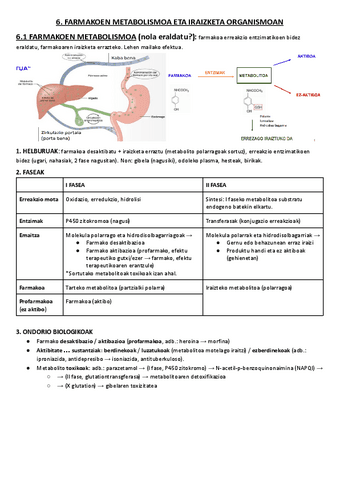 06. FARMAKOEN METABOLISMOA ETA IRAIZKETA.pdf