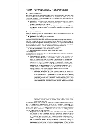 REPRODUCCION-Y-DESARROLLO.pdf