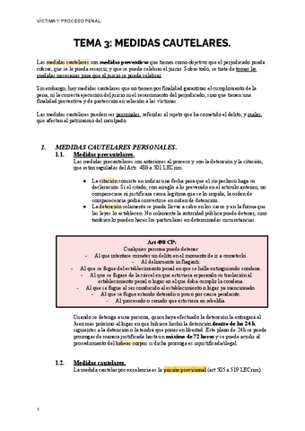 TEMA-3-vctm-Miguel.pdf