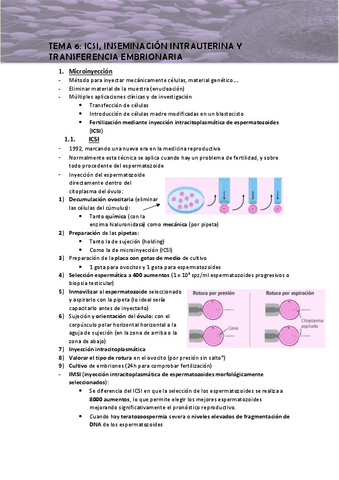 Tema-6-apuntes.pdf